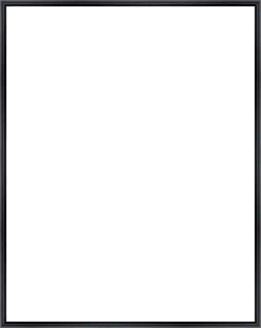 Frame Your Canvas Art