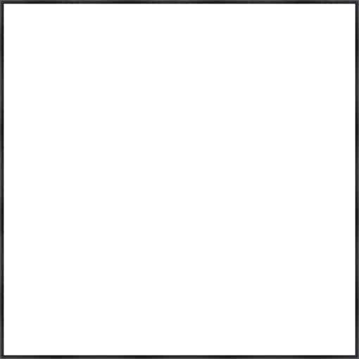 Frame Your Canvas Art