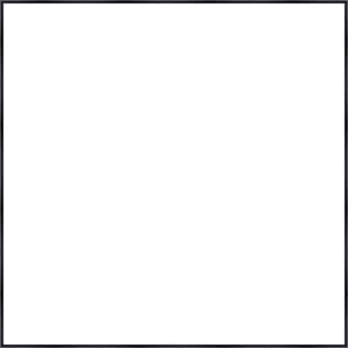 Frame Your Canvas Art