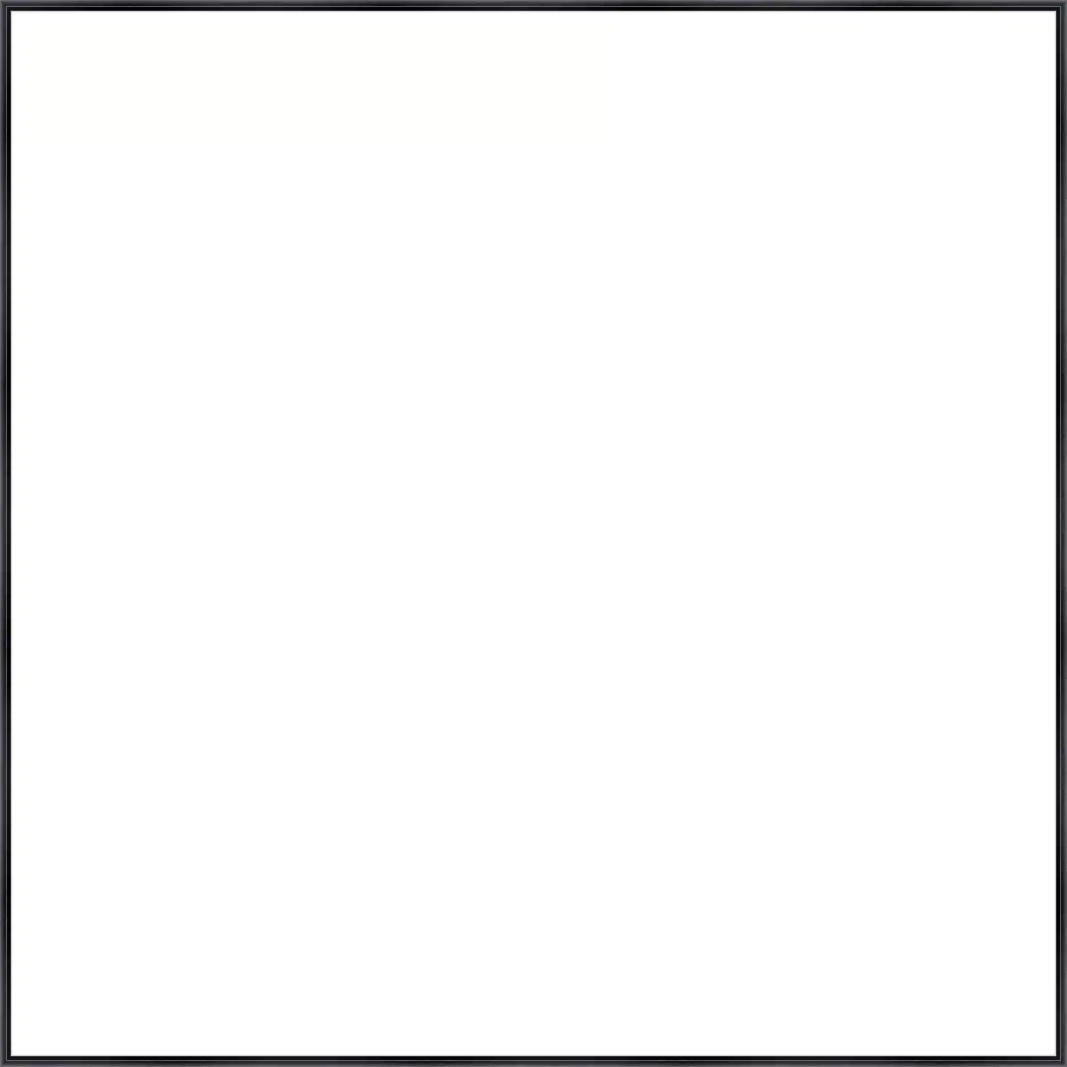 Frame Your Canvas Art