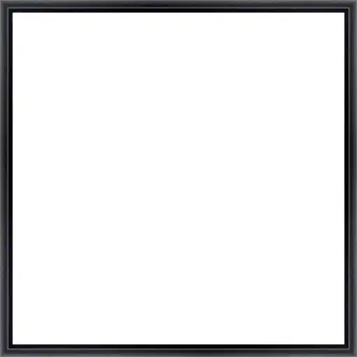 Frame Your Canvas Art