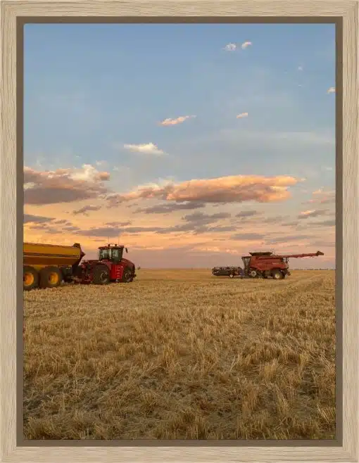 Canvas Print & Frame