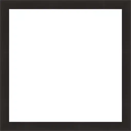 Frame your paper art