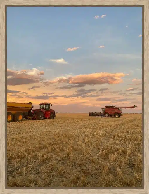 Canvas Print & Frame