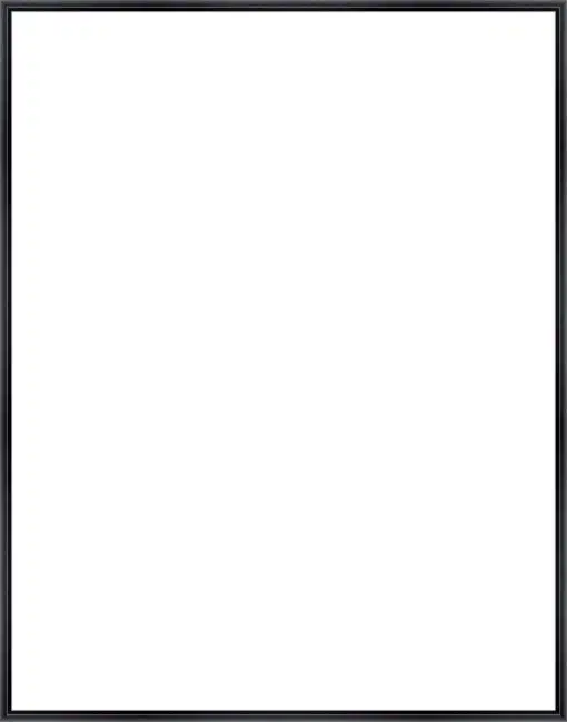 Frame Your Canvas Art