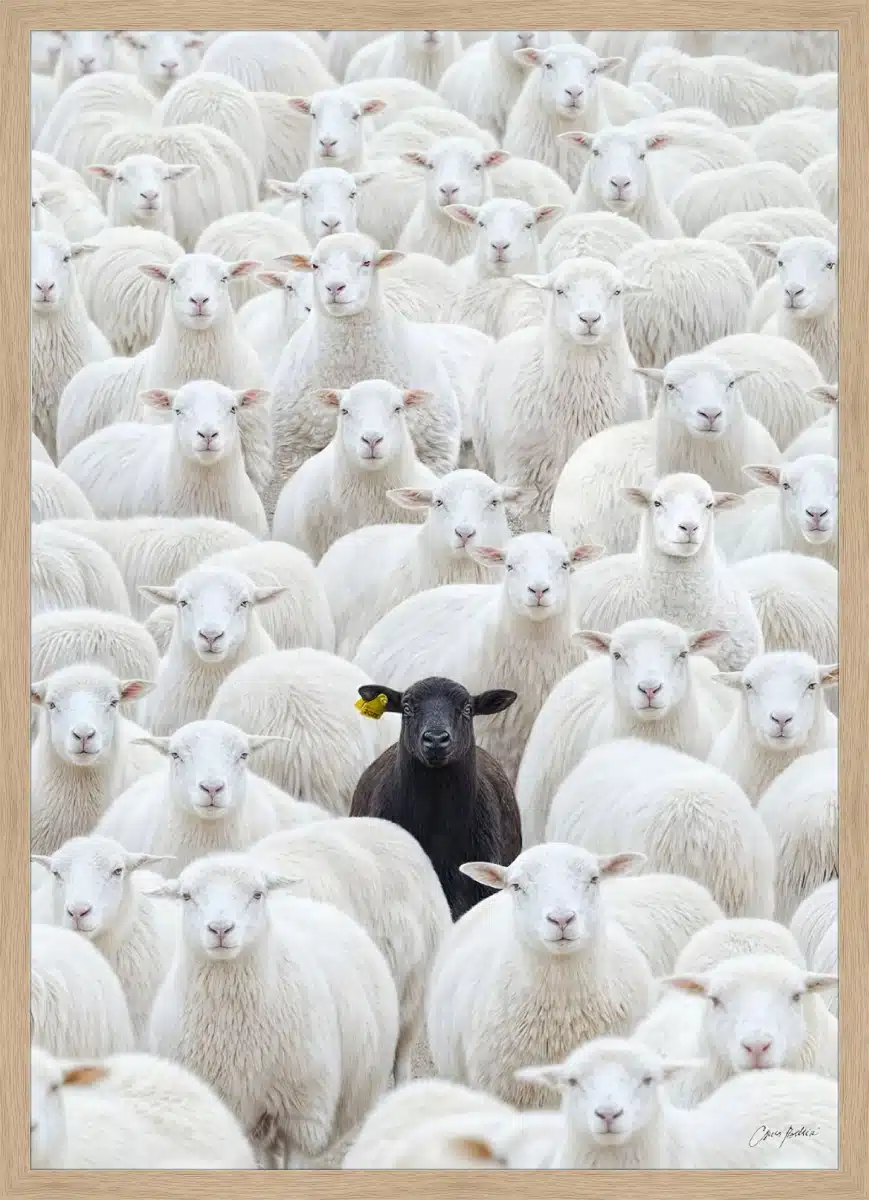 Canvas Print & Frame