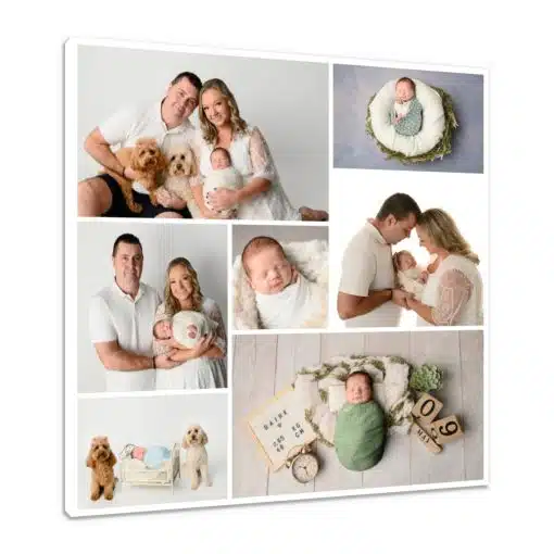 Canvas Print & Stretch