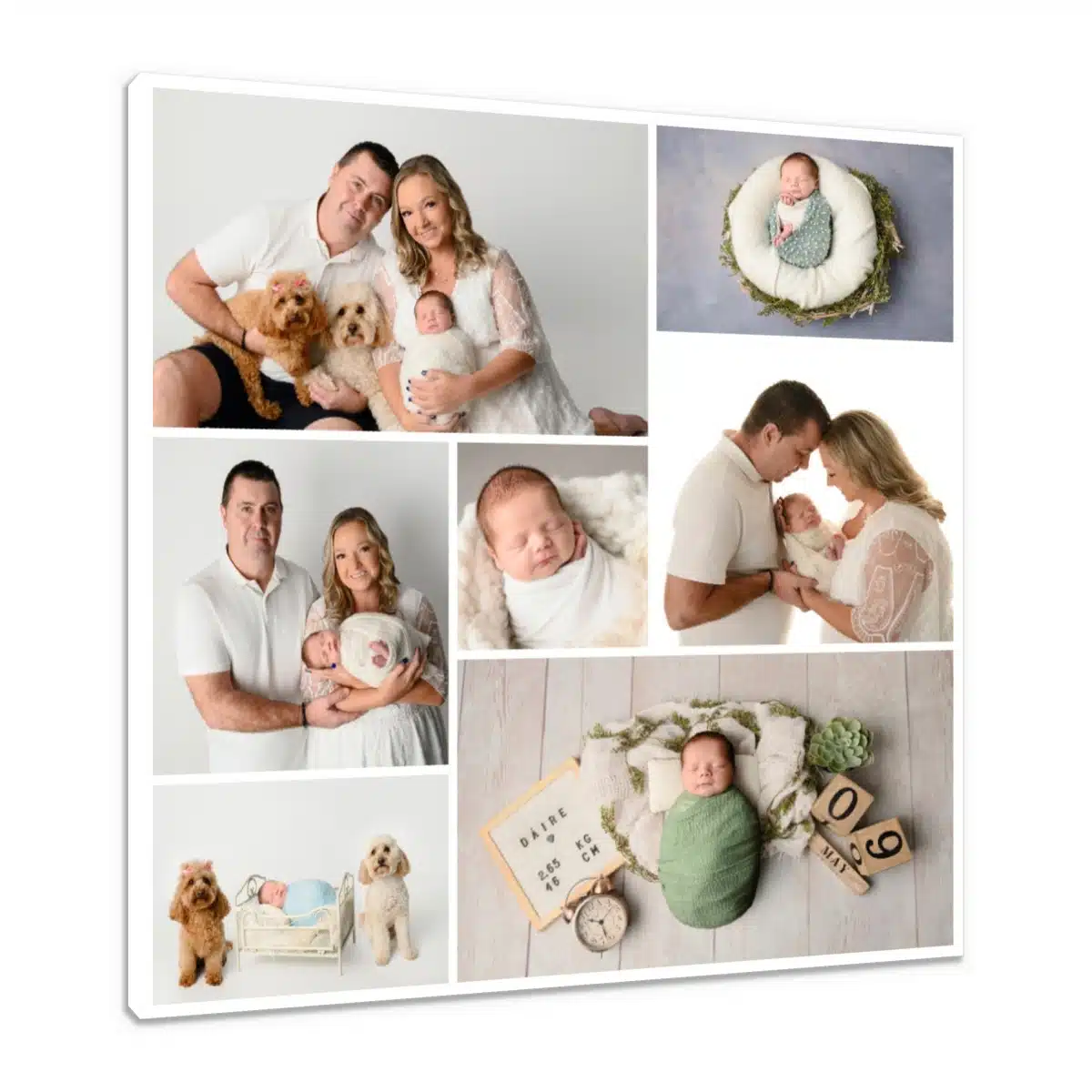Canvas Print & Stretch