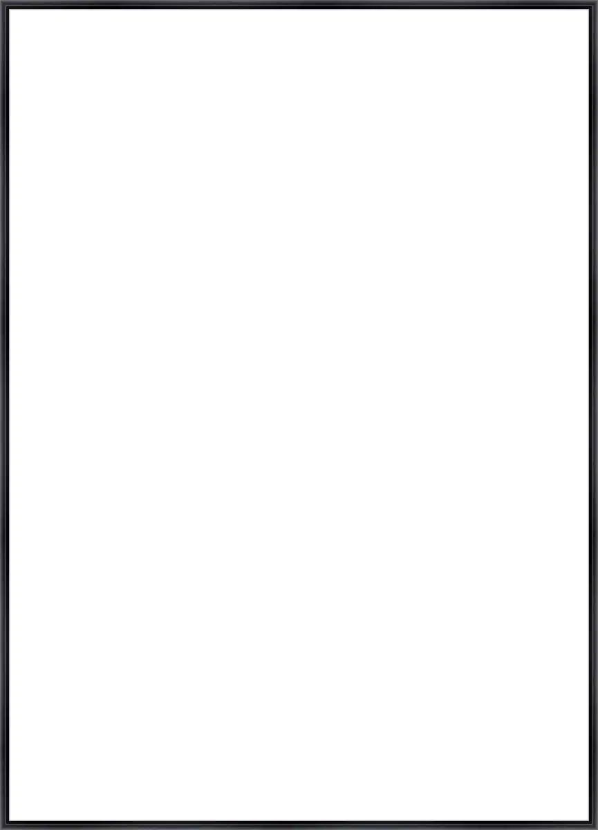 Frame Your Canvas Art