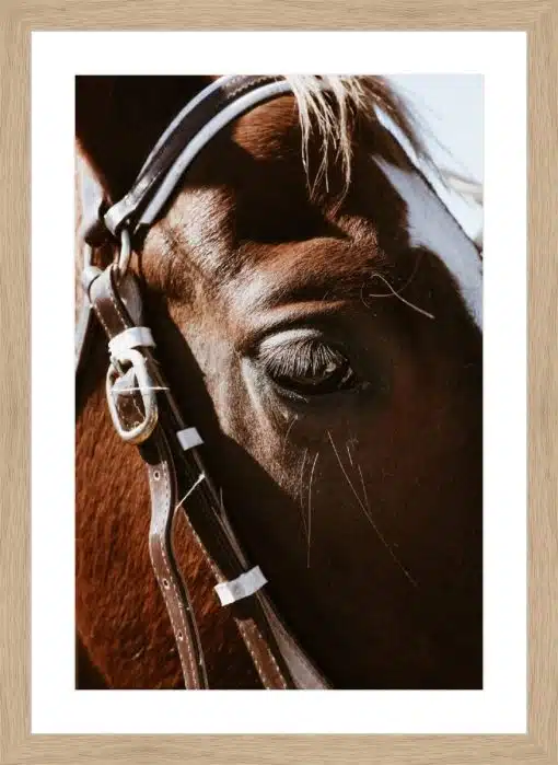 Print & Frame With Matboard & Glass