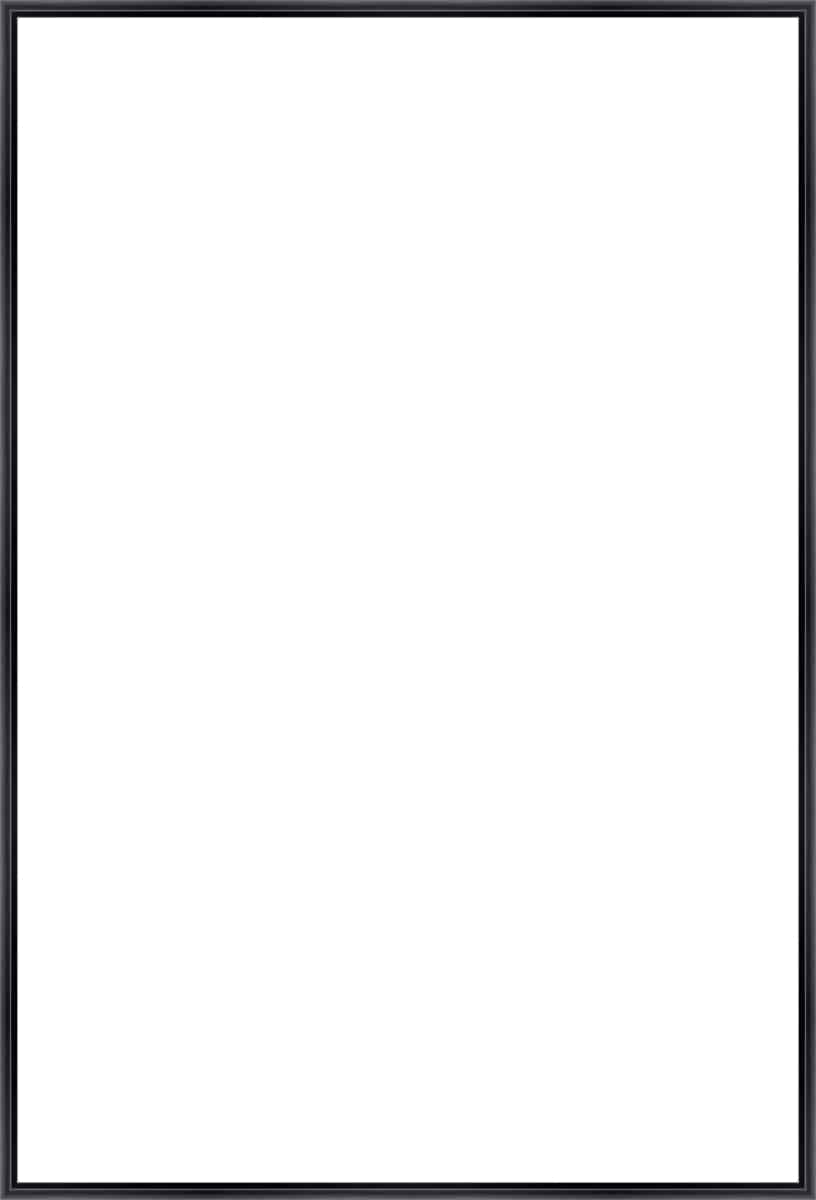 Frame Your Canvas Art