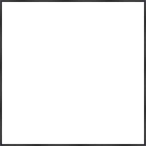 Frame Your Canvas Art