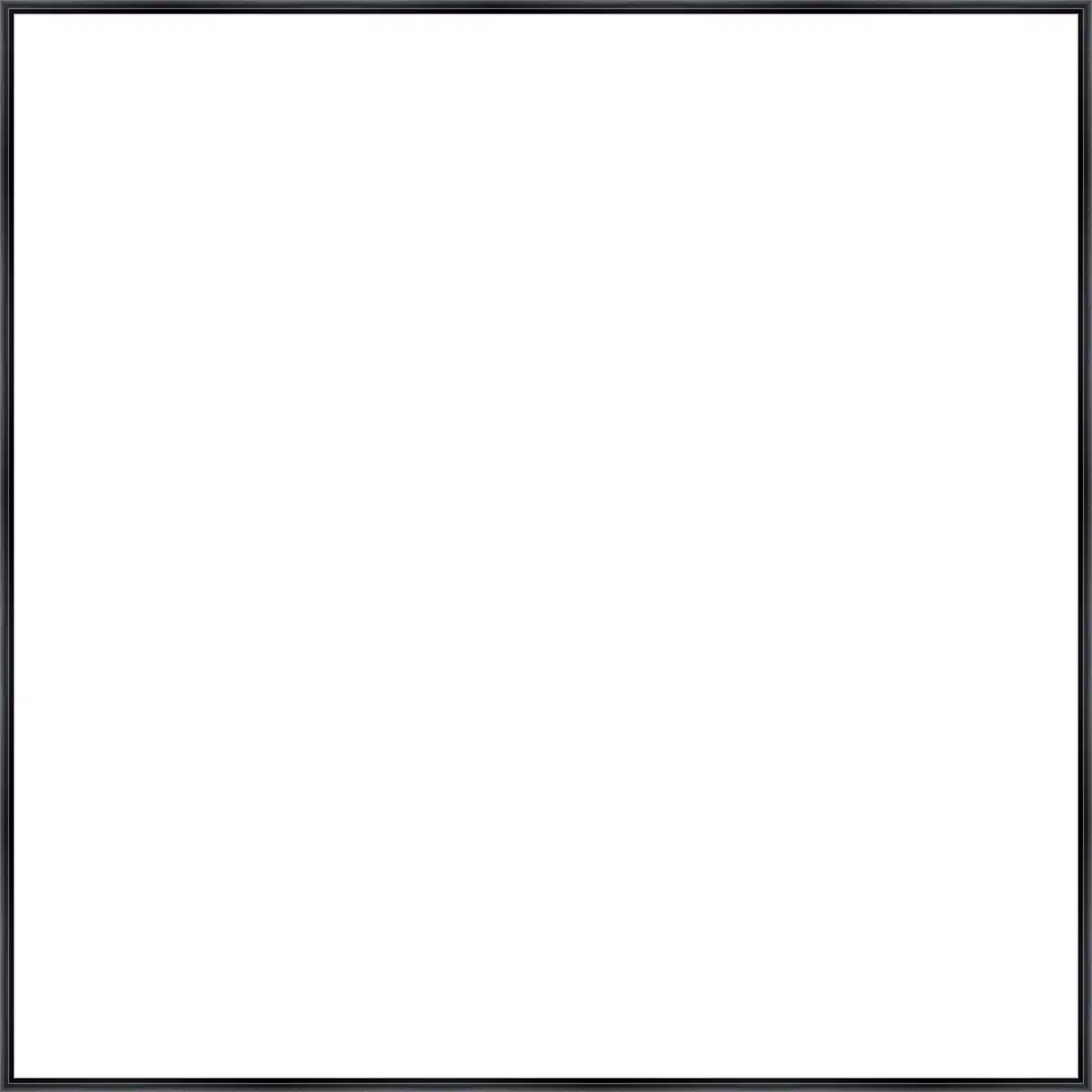Frame Your Canvas Art