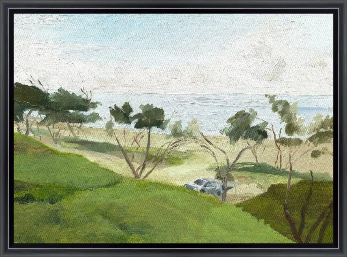 Frame Your Canvas Art