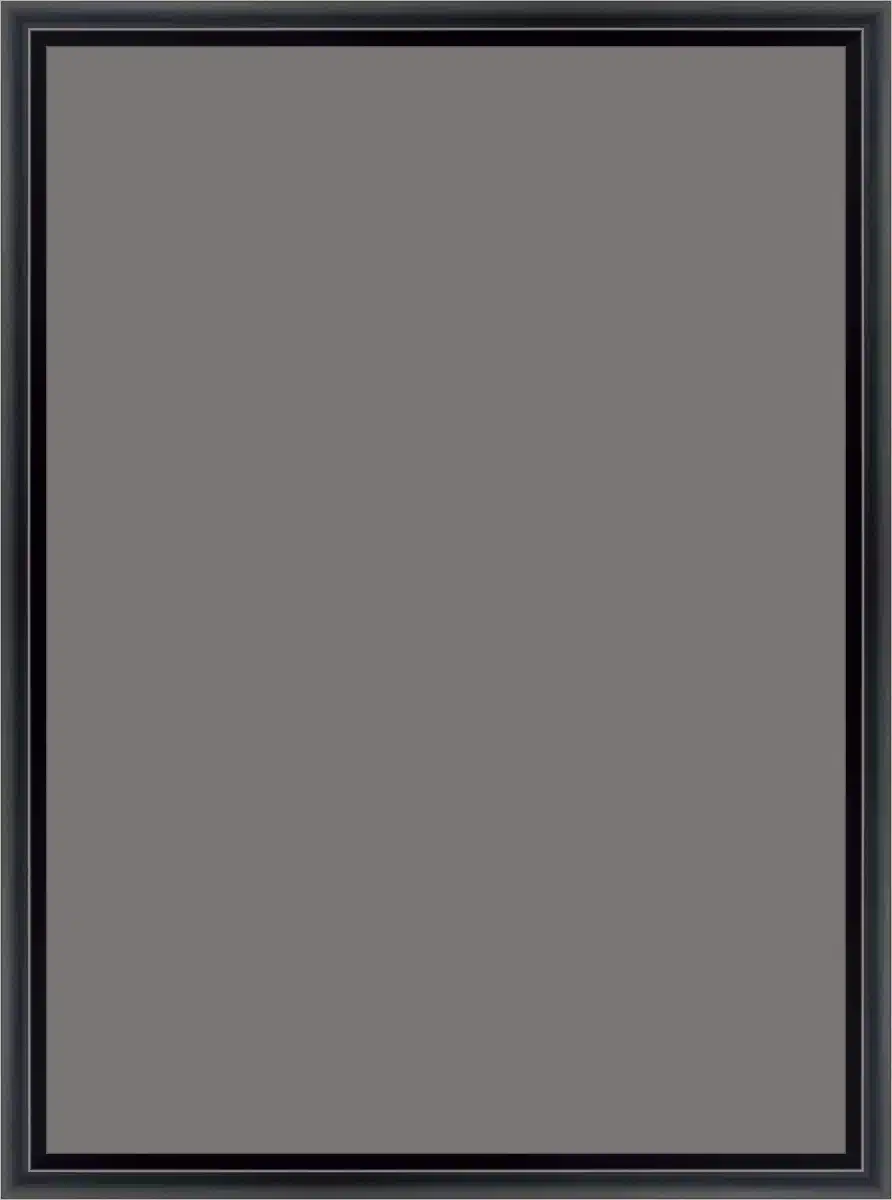 Frame Your Canvas Art