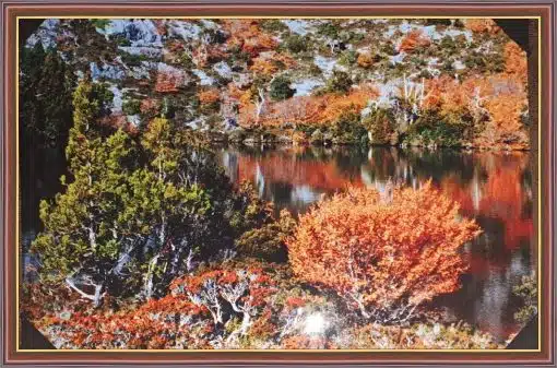 Canvas Print & Frame
