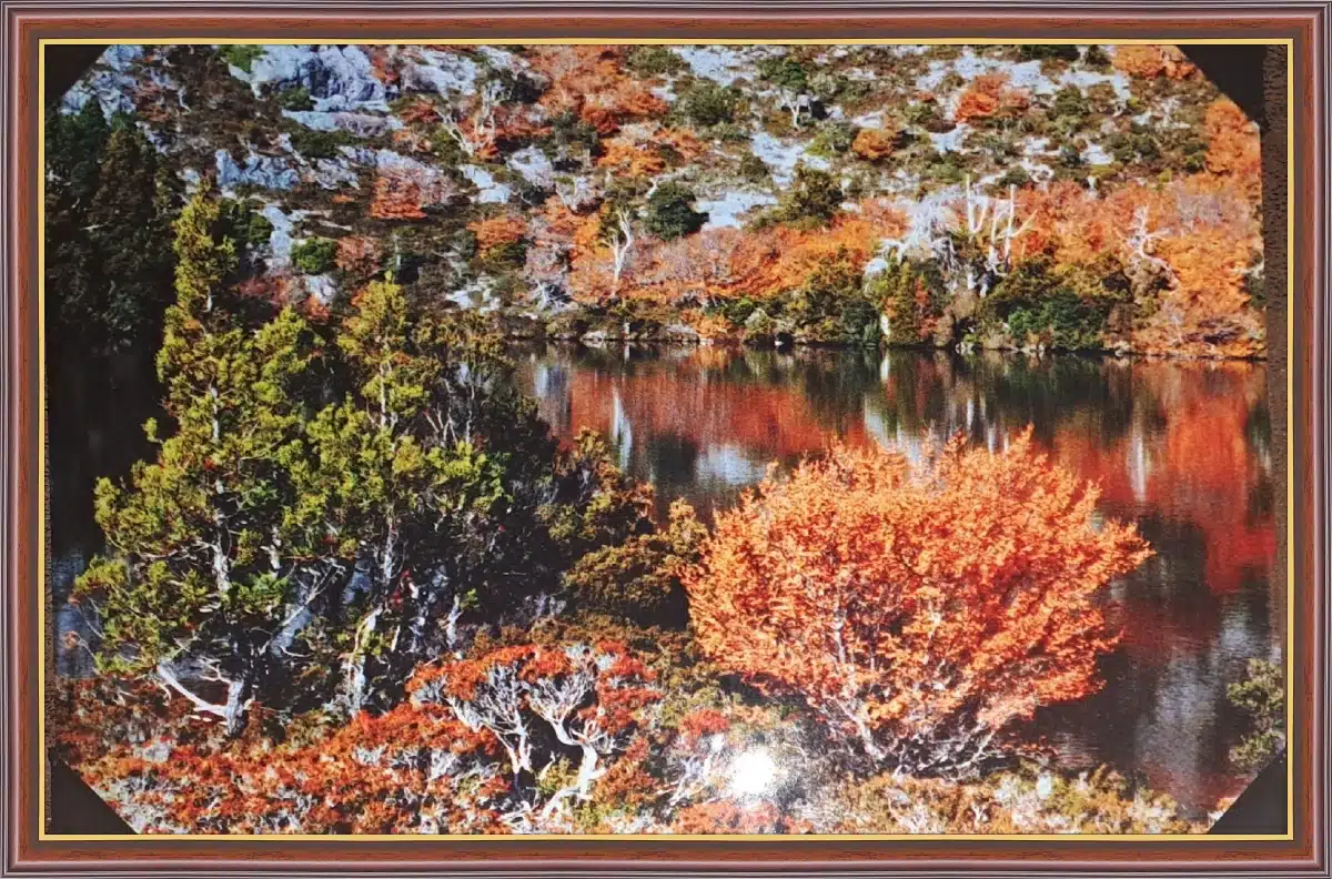 Canvas Print & Frame