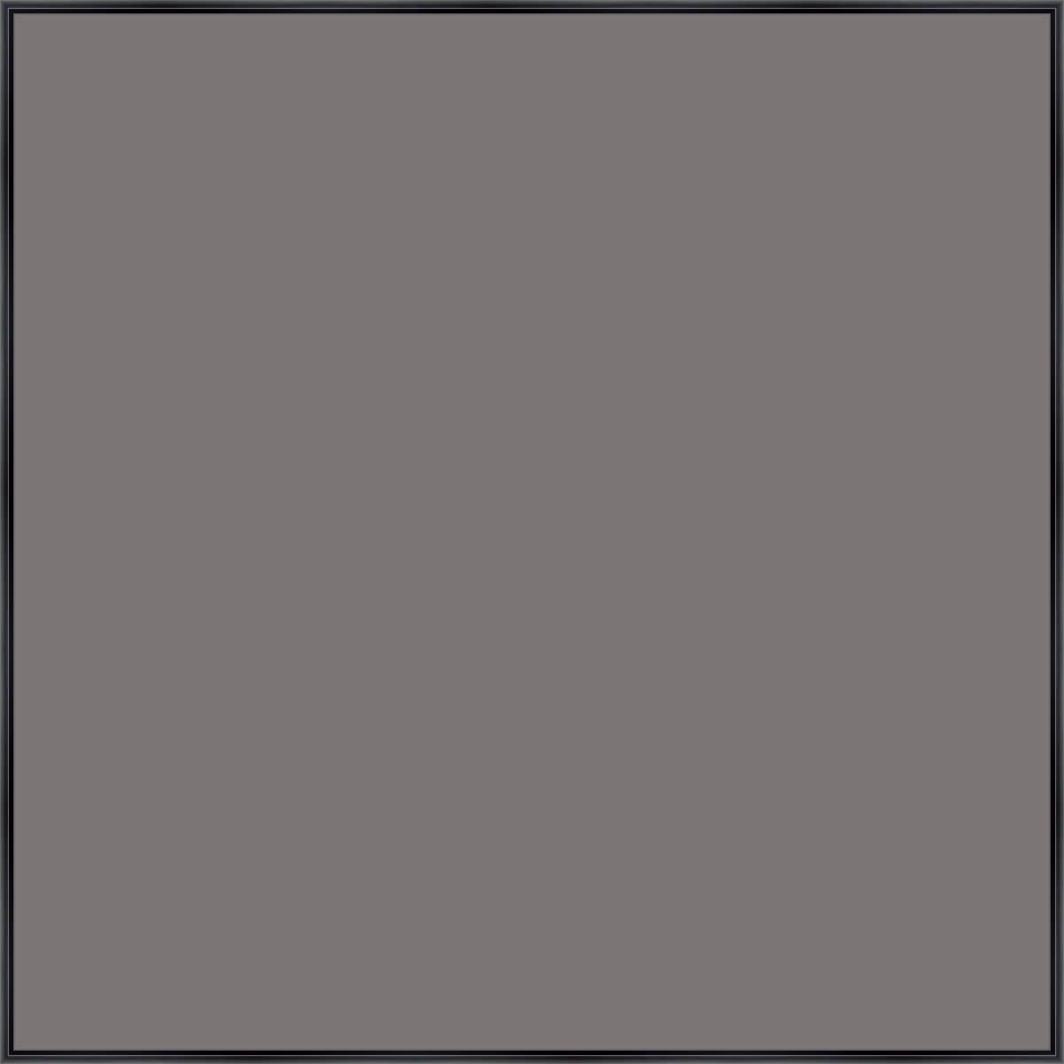 Canvas Print & Frame